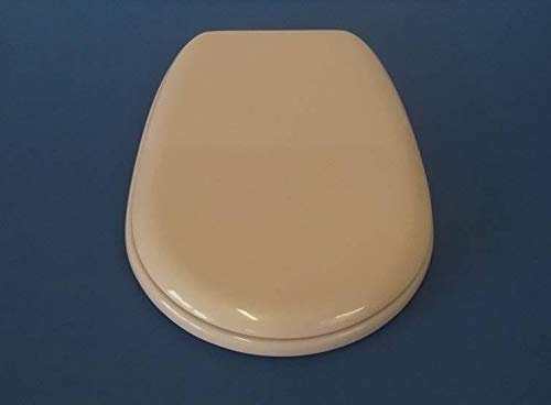 Copriwater Ideal Standard LIUTO ROSA SUSSURRATO Cerniera Cromo-Sedile-Asse Wc