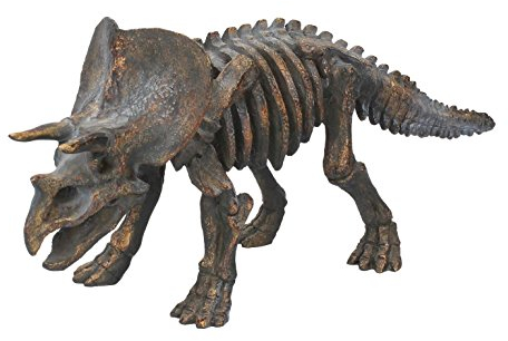 NN Dinosaurier Skelett Triceratops Figur Dekoration Deko Statue Raubsaurier Wildlife