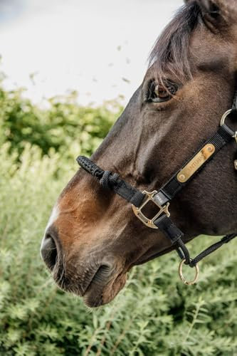Kentucky - Kontrollhalfter Genickstück schwarz