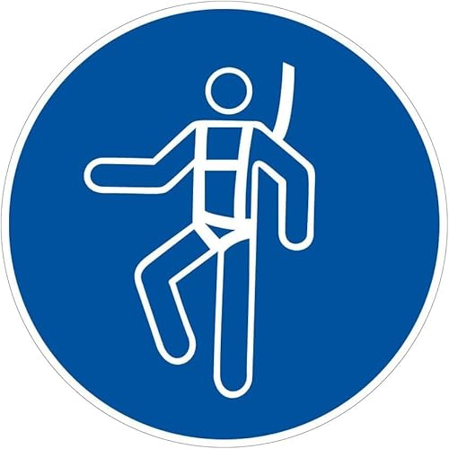 Signalétique.biz France – Sicherheitsaufkleber „Sicherheitsgurt anlegen“ – Ø 250 mm – Selbstklebendes Pflichtzeichen PSA