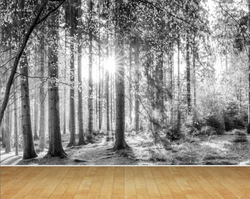 Chicbanners Forest Trees Woodland Light Ray Black and White V2 Abstract Wall Art Wall Mural Wallpaper fit with Standard Wall Paper Paste 300cm Wide x 240cm deep