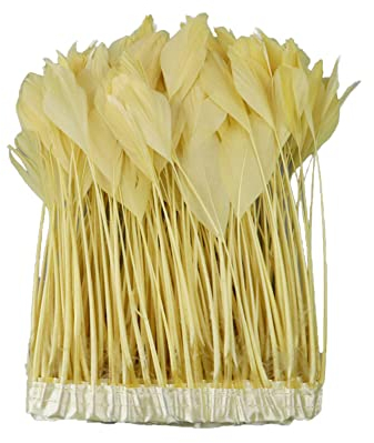 Wooauto 2M Flauschige Federboa DIY Frauen Fasching Dekorationen Truthahn Federn Boa zum Basteln Feder Mädchen Kostüm Zubehör Straußenfederboa für Hochzeit/Party-Dekoration,Golden