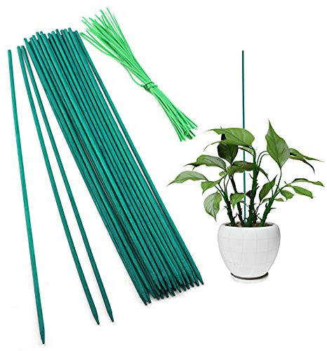 SAVITA 30 Piezas Palitos de Soporte para Plantas Estacas de Madera con 30 Piezas Lazo para Plantas Palitos de Bambú Verde para Ramo Planta en Maceta Estaca para Plantas Pequeñas, 38 cm