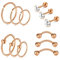 AVYRING Helix Piercing Ring 16G Tragus Knorpel Ohr Piercing Für Damen Chirurgenstahl Helix Piercing Ohrstecker Daith Rook Piercing Ohr 12 Stück-Rosegold