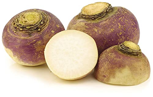50 Semi di Rutabaga - coltivazione di ortaggi antichi - semi di agricoltura contadina riproducibili - Semisauvage