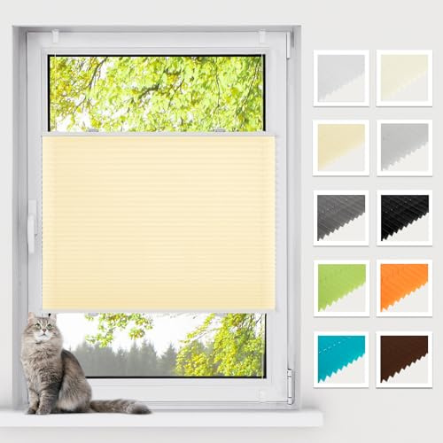BelleMax Plissee ohne Bohren Klemmfix, Creme 85x130cm(BxH), Easyfix lichtdurchlässig Sichtschutz und Sonnenschutz, Jalousie Plisseerollo mit Klemmträger, Faltrollo für Fenster & Tür