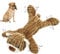 Hundespielzeug Welpenspielzeug, Tauziehen Plüsch quietschendes mit Crinkle-Papier und Hundeseil, Robust Hundekauspielzeug für Welpen, kleine, mittlere, große Hunde (Bär)