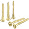 QUARKZMAN Tornillos de Madera M2 x 16mm Cabeza Redonda Ranurada Latón Tornillo Autorroscante para Trabajos de Carpintería 40 Unidades