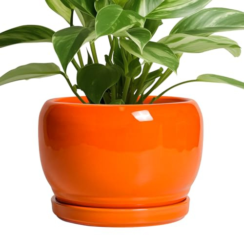 SQOWL Ceramic Pot for Plants - 8 Inch Plant Pot Indoor Outdoor, Modern Round Planter with Drainage Hole and Saucer, Decorative Planter for Flower, Office Decor, Garden Gifts for Women, Orange