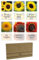 Pronto Seed Sunflower Seeds Collection - Grow Your Own Kit with 6 Stunning Varieties Including Yellow Giant - Perfect for Pots, Beds & Containers - Gardening Gift Set (Sunflower Seeds)