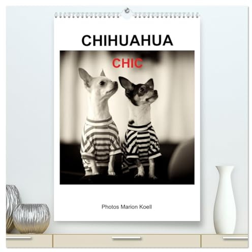 CHIHUAHUA CHIC Photos Marion Koell (hochwertiger Premium Wandkalender 2026 DIN A2 hoch), Kunstdruck in Hochglanz: Die CHIHUAHUA Geschwister Maya und ... werden gerne chic angezogen (CALVENDO Tiere)