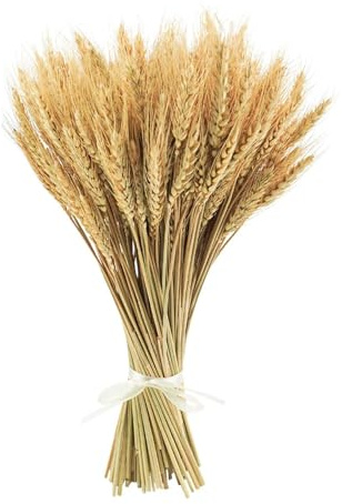 XHYASD 100 Stück Trockenblumen Weizen 40 cm Deko Getreidegarben | Naturgetrocknete Weizengarben, sanfte Brauntöne, für Vase, Hochzeit, DIY, Wohnen