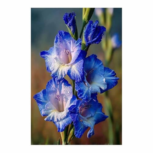 ZAMAEIU Botanische Bilder Gladiolen wandbilder, Für Wohnzimmer, Schlafzimmer, Café, Hotel usw.(blau145)-80x120cm Ungerahmt