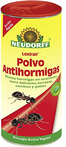Neudorff Loxira Polvo Antihormigas – Control rápido de hormigas y hormigueros para interiores y exteriores. Cebo para hormigas para espolvorear, 500 g