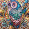 5D DIY Diamantmaler-Set Malen nach Zahlen Diamant 5D Diamond Painting Set Full Bilder Diamond Painting Kits für Erwachsene und Kinder 5D Diamant Malerei Kit Diamant Malerei Zubehör 30*30cm Eulenmuster