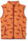 Playshoes Fleece Weste Unisex Kinder Outdoor-Oberteil, Dinos, 116