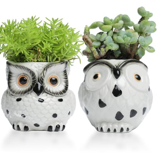 Owl Ceramic Planter Mini Plant Pots 2Pack With Drainage Pen Pencil Holder Cute Flower Planters For Indoor Herb Garden Kit Cactus Plant Pots Air Plant Kitchen Window Gardening Starter Set Owl Gifts