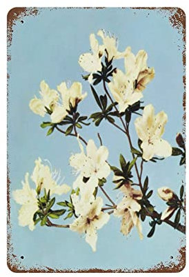 Spring Azaleas Metal Tin Sign Retro Poster Decor Coffee Wall Decor Metal Plate For Bathroom Coffee Shop Decor Bar Man Cave Garage Home Decor Plaque Tin Sign 8x5.5 Inch