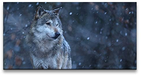 Paul Sinus Leinwandbild 120x60cm Grauer Wolf Mystisch Geheimnisvoll schönes Tier Schnee