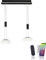 Paul Neuhaus LED Pendelleuchte aus Glas, Q Etienne Smart Home, CCT Lichttemperaturwechsel, höhenverstellbar, Fernbedienung…