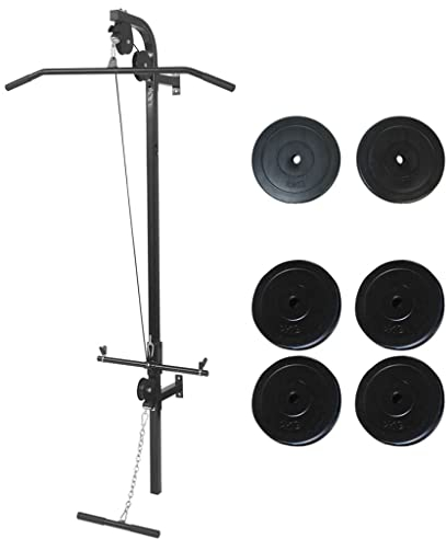 WIFESE 99x53x194 cm Kraftturm zur Wandmontage mit Hantelscheiben Latzug FitnessgeräTe FüR Zuhause Kraftstation SportgeräTe Zuhause Hantelbank mit Gewichten Hantelbank Klappbar 40 kg