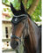 EQUILYX® Fliegenohren für Pferde aus hochwertigem Satin, ergonomische Passform, optimale Luftzirkulation (Warmblut, Schwarz)