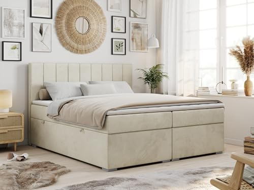 MKS MEBLE Boxspringbett 200x200 Mit 2 Bettkästen, Polsterbett Mit Matratze H3 Topper, Bett Mit Kopfteil - Beige Velvet - H3 - Ally
