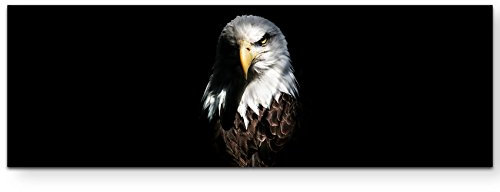 Paul Sinus Art Leinwandbilder | Bilder Leinwand 120x40cm Adler