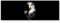 Paul Sinus Art Leinwandbilder | Bilder Leinwand 120x40cm Adler