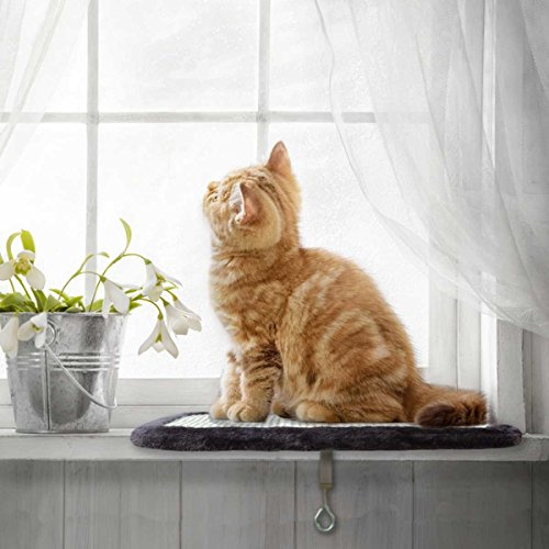 PetPäl Kratzbrett für die Fensterbank - Fensterliegeplatz für Katzen mit Sisal-Kratzfläche - Liegefläche (39x29cm) - Der Neue Lieblings Fensterplatz für Deine Katze - Katzenliege, Liegeplatte