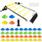 ZTWLEED Set de Entrenamiento de Fútbol,Agility Speed Ladder 6M 40 Conos Entrenamiento,4 Clavos Metálicos y Bolsa para Kit de Entrenamiento Futbol Niños y Adultos