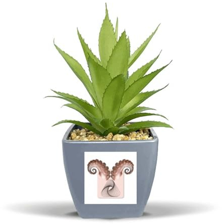 no/no Octopus Horn Wolle Gesicht Art Deco Mode Fake Ananas Blumentopf Vase Mini Dekor