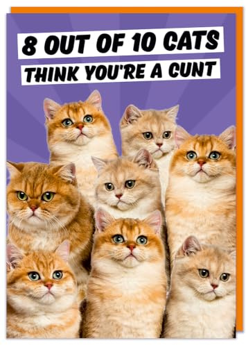 Dean Morris Cards Rude Birthday Card - Offensive Birthday Card - Vulgar Cards - 8 out of 10 Cats
