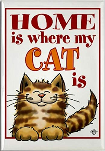 FRIDGE MAGNET A Funny Cat with the wording Home is where my CAT is Birthday for a Cat lover