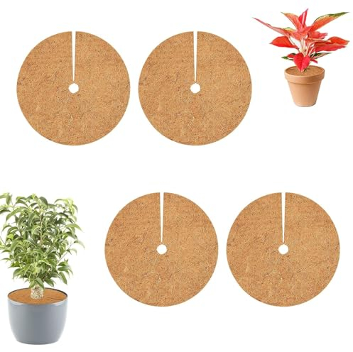 4 Piezas Coco Natural para Protección, 40 cm Estera de Coco Protección, Discos de Coco, Estera de Coco, Protección Invernal De Coco, para Plantas de Maceta, Protección contra Heladas