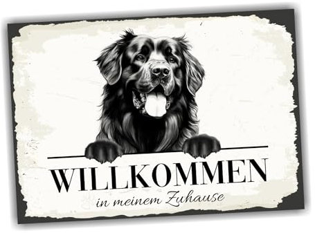 siviwonder Hundeschild Willkommen Zuhause Neufundländer Neufi No.1 Dog Schild Spruch Türschild Warnschild Geschenkidee schöner Spruch Hundemotiv Aluminium Wetterfestes Hundeschild