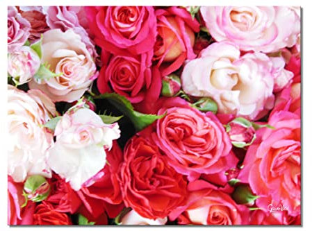 Glücksvilla - Rosentraum 3 - div. Maße (Leinwand-Bild 2 cm, 60 x 40 cm) aus DE - Kunstdruck XXL Deko-Wandbild quer - Rose Blüte Blumen-Strauß Natur Garten