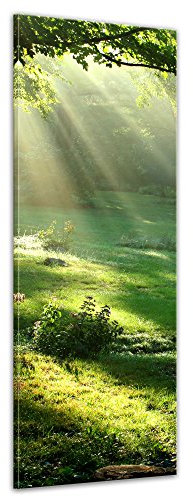 Bilderdepot24 Bild auf Leinwand | Wiese in 30x90 cm als Panorama Wandbild | Wand-deko Dekoration Wohnung modern Bilder | 202627