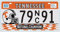 OPO 10 - Placa DE Licencia DE AUTOMÓVIL EE. UU. - Replica en Metal 30x15 cms: Tennessee (C42)