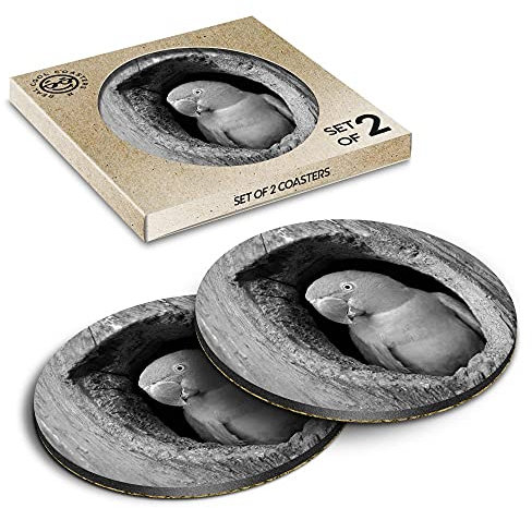 2 x Eco Boxed Cork Coasters - BW - Cute Parrot Tree House Parakeet Bird Drink Cup Mug Glass Table Mat #37305