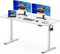 SANODESK Q1 Escritorio Elevable Eléctrico 120 x 60 cm, con Tablero Entero, Altura Ajustable, con 4 preajustes de Memoria de Altura, Panel Inteligente, Ideal para Oficina en casa (Blanco)