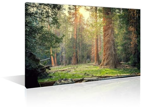Sunset in the Sequoia Forest Sequoia National Park Art Prints Beautiful Green Forest Wall Art Bedroom 1 Panels Forest Posters Artwork Giclee Print Gallery Packaging Artwork Ready to Hang (16Wx24H)