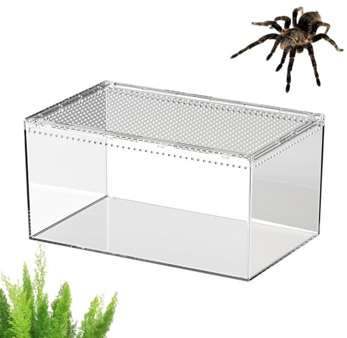 Transparenter Reptilientank - Terrarium, robuster für Habitat, transparente Box | Optimales Sichtmerkmal Mehrzweck-Haushaltsgehäuse für Cams