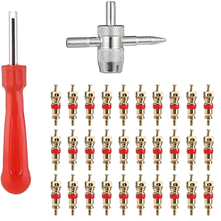 Kit de Herramientas de Extracción de Válvula,32 PCS Herramientas de Reparación de Válvula de Neumático de Coche Kit de Eliminación 4 Vías Válvula con 30 Núcleos de Válvula para Coche Bicicleta