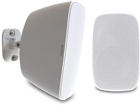 Altavoz de sonorización