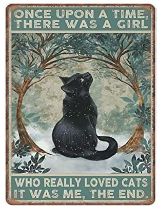 DAIERCY Lustiges Vintage-Schild mit schwarzer Katze, Once upon A Time There Was A Girl Who Really Loved Cats, Metall-Blechschilder für Küche, Garten, Garage, Badezimmer, Wanddekoration, 30 x 40 cm