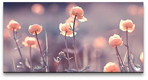 Paul Sinus Leinwandbild 120x60cm Feldblumen Wildblumen Blumen Blüten Frühling Natur