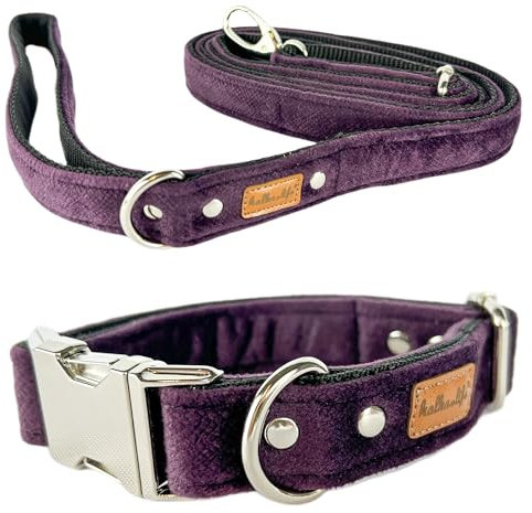 Hundeleine und Halsband Set – Robustes, Doppellagiges Halsband mit Verstellbarer Länge und Metall- oder Kunststoffschnalle (Pflaume, S (Metallschnalle))
