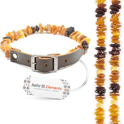 Bernsteinkette Hund & Katze – Verstellbares Bernsteinhalsband – Bernstein Halsband für große & kleine Hunde und Katzen (45-50 cm)
