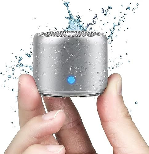 Digital Tec 12H Playtime IP67 Waterproof Portable Bluetooth Speaker Silver, 3 Watt Compact with Loud Sound,